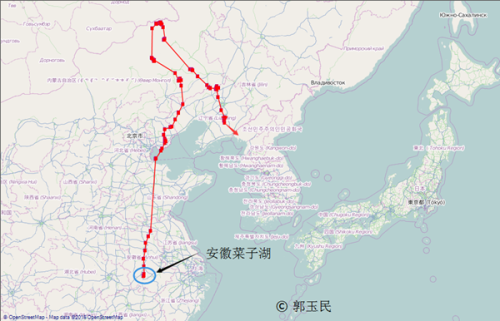 香港全年最全免费资料大全,湖南野生动物追踪,湖南卫星追踪器,湖南追踪器 香港全年最全免费资料大全