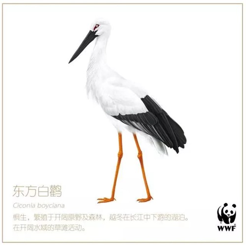 香港全年最全免费资料大全
