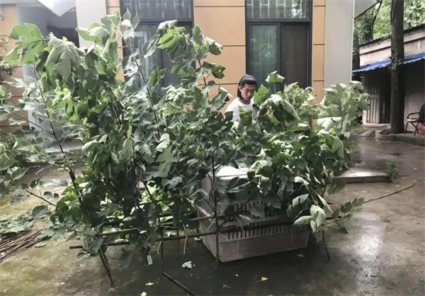 香港全年最全免费资料大全
