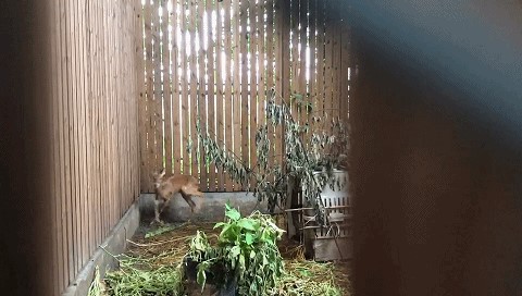 香港全年最全免费资料大全