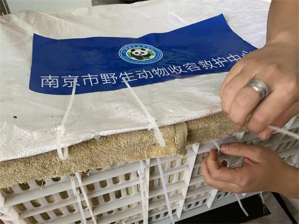 香港全年最全免费资料大全