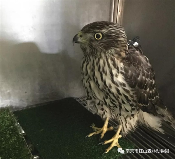 香港全年最全免费资料大全