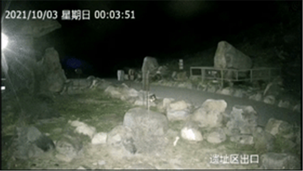 香港全年最全免费资料大全