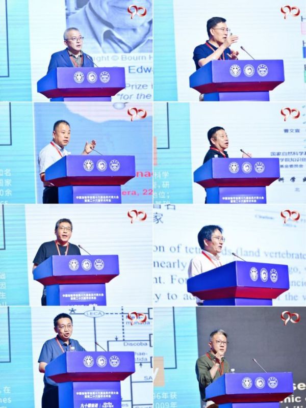 香港全年最全免费资料大全