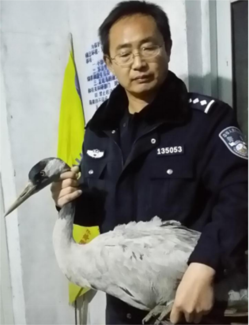 香港全年最全免费资料大全,湖南野生动物追踪,湖南卫星追踪器,湖南追踪器 香港全年最全免费资料大全