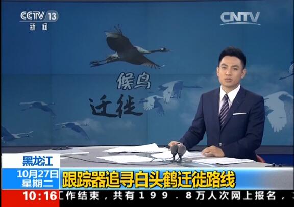 99 香港全年最全免费资料大全