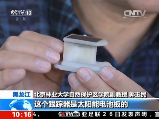 99 香港全年最全免费资料大全