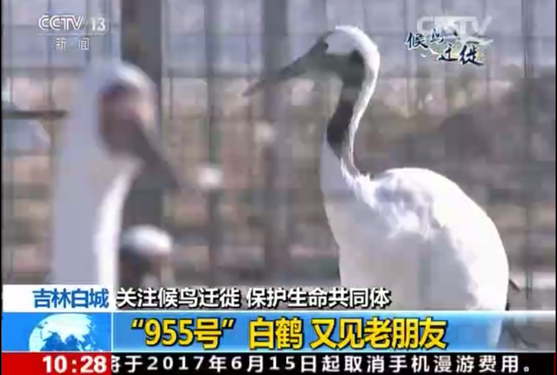99 香港全年最全免费资料大全