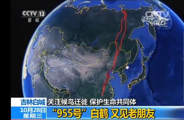 99 香港全年最全免费资料大全
