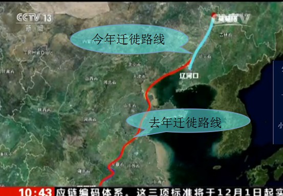 香港全年最全免费资料大全