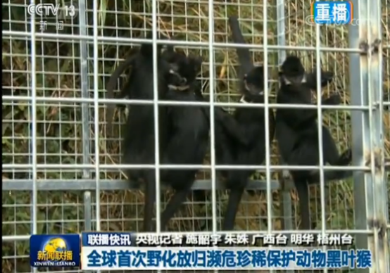 香港全年最全免费资料大全