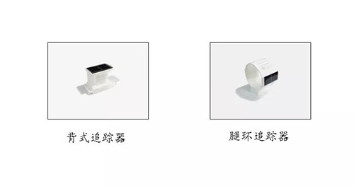 香港全年最全免费资料大全