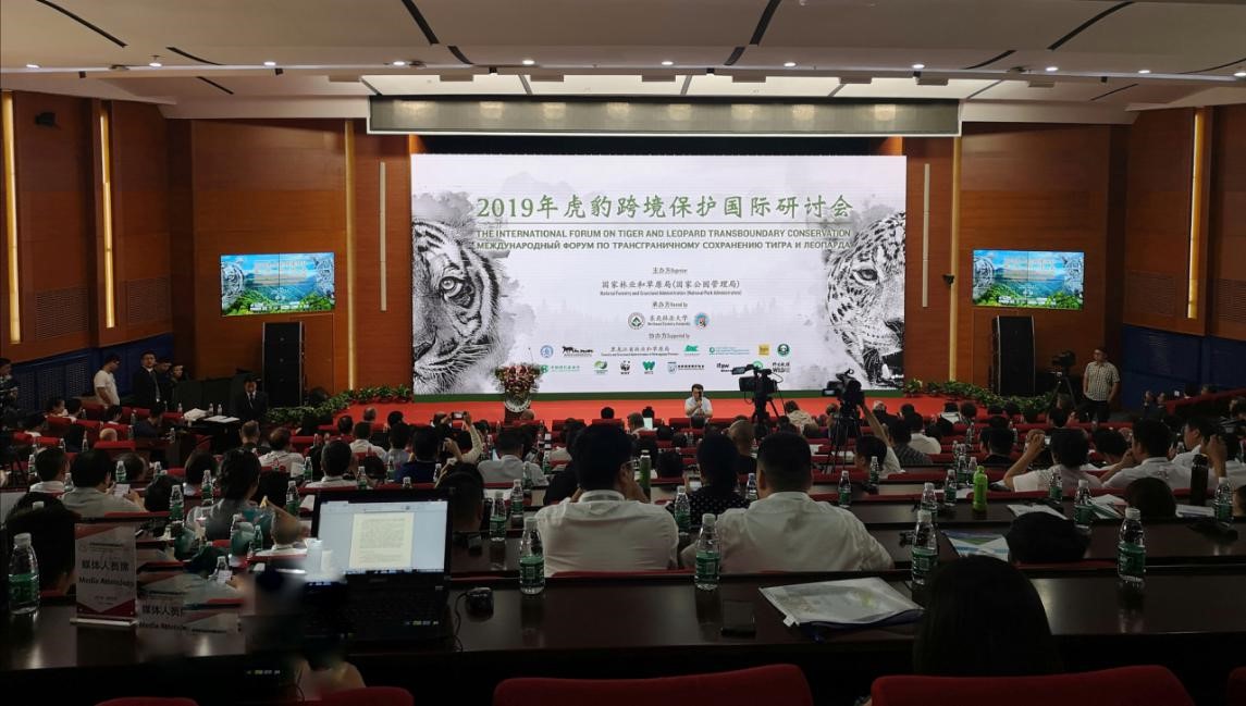 香港全年最全免费资料大全