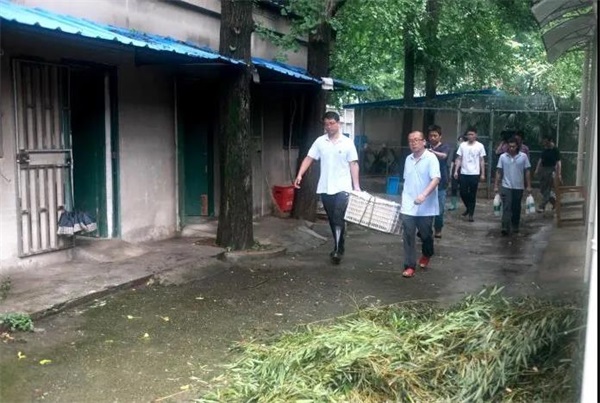 香港全年最全免费资料大全