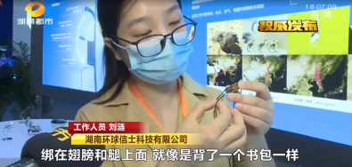 香港全年最全免费资料大全,湖南野生动物追踪,湖南卫星追踪器,湖南追踪器 香港全年最全免费资料大全
