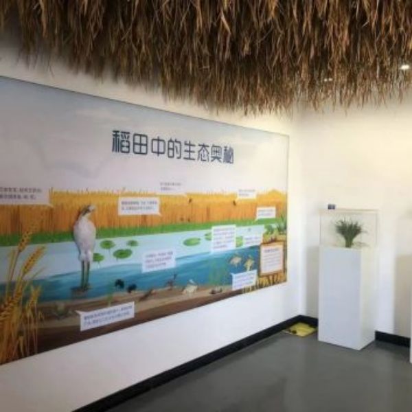 香港全年最全免费资料大全