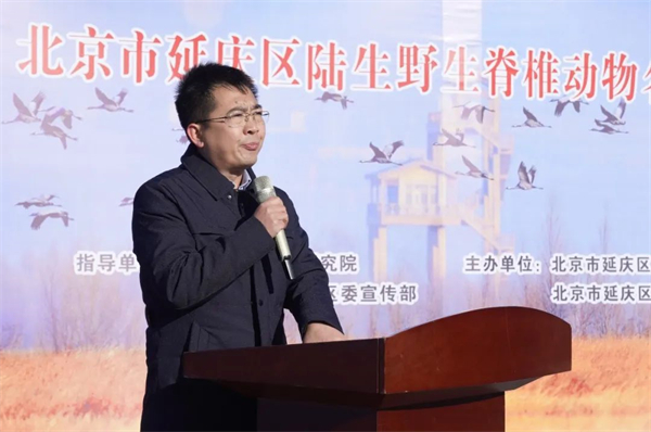 香港全年最全免费资料大全