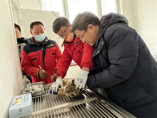 香港全年最全免费资料大全,湖南野生动物追踪,湖南卫星追踪器,湖南追踪器 香港全年最全免费资料大全