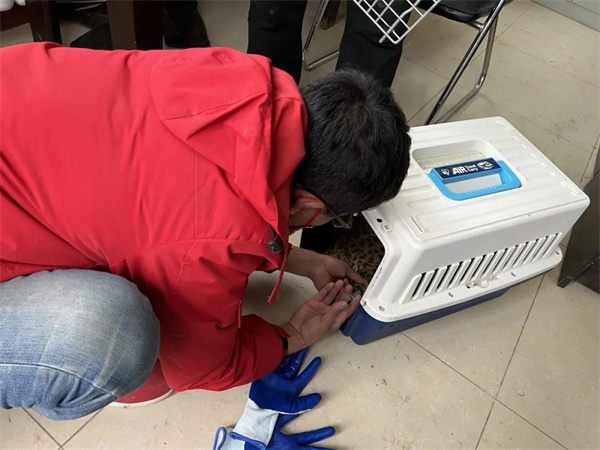 香港全年最全免费资料大全
