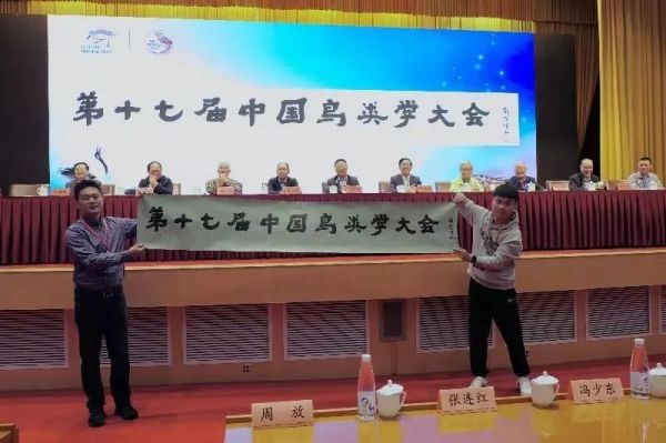 香港全年最全免费资料大全