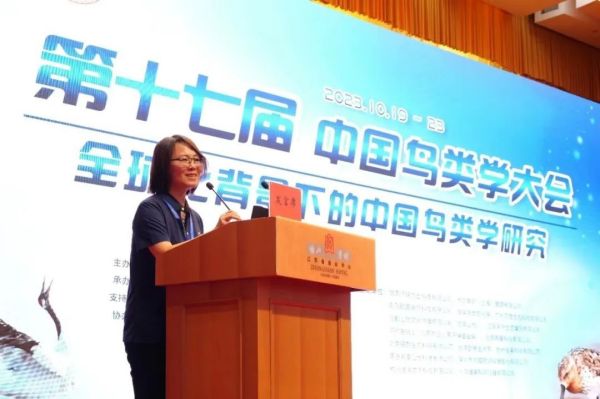 香港全年最全免费资料大全