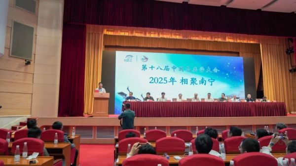 香港全年最全免费资料大全
