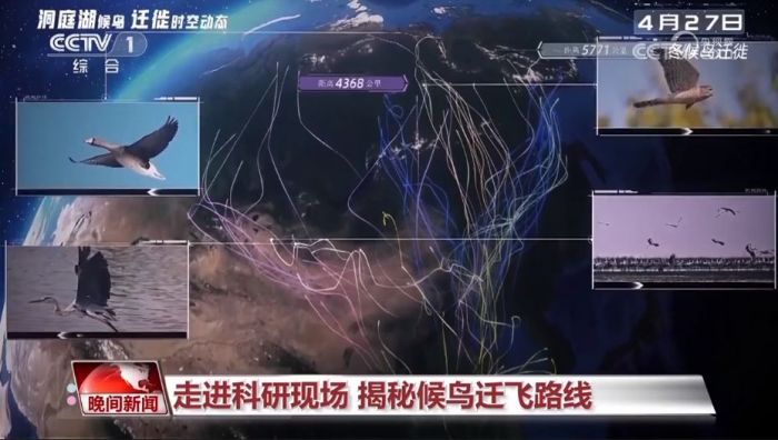 香港全年最全免费资料大全