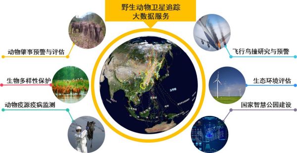 香港全年最全免费资料大全