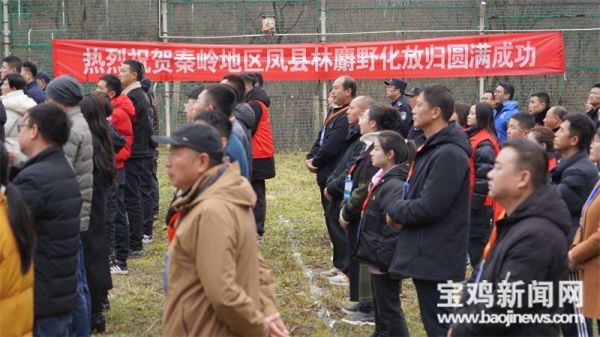 香港全年最全免费资料大全