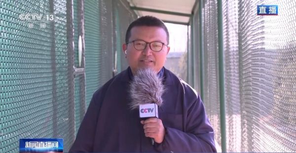 香港全年最全免费资料大全