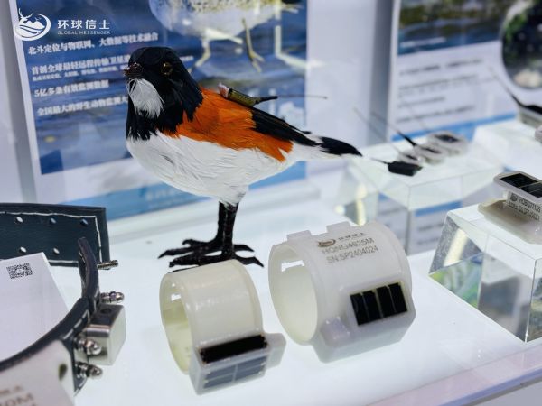 香港全年最全免费资料大全