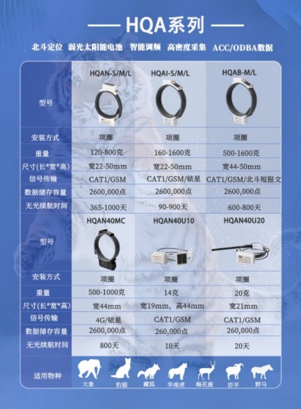 香港全年最全免费资料大全